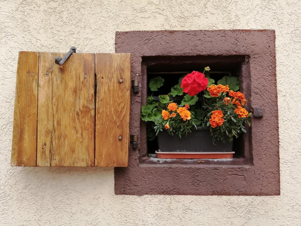 Gite Le Patio Kaysersberg-Vignoble Exterior foto